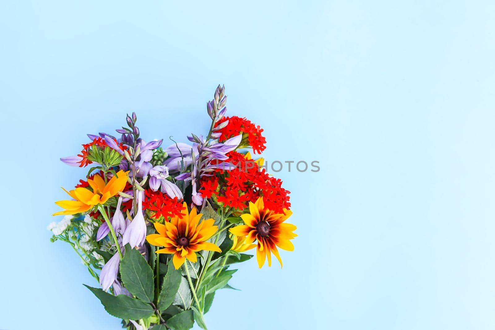 Small bouquet of garden flowers on light blue background. Purple decorative campanula, lychnis and rudbeckia or black-eyed susan plants. Festive floral template. Greeting card design. Top view.