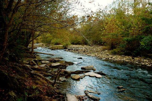 Rocks and water