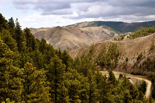 Deadwood hills and road