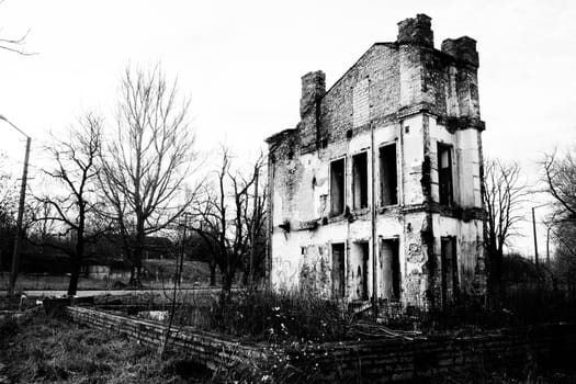 ruined old house in woodland black and white