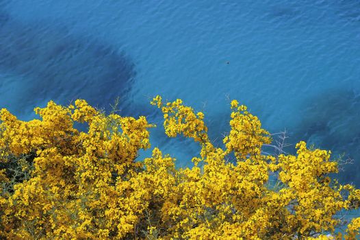 Along the coast appears this beatiful contrast of colors.