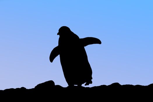 Silhouette of penguin against blue sky