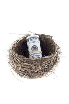 A close-up portrait of a birds nest with a US dollar inside on a white background 