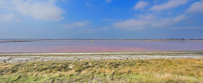 salt Camargue