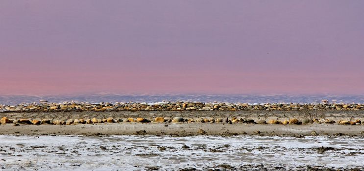 salt Camargue