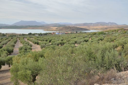 ardales natural park in the park located fifty kilometers from Malaga