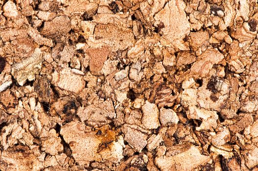 Brown cork texture background. Close up. Macro.