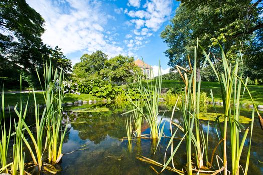 Lake at botanical garden at Oslo Norway