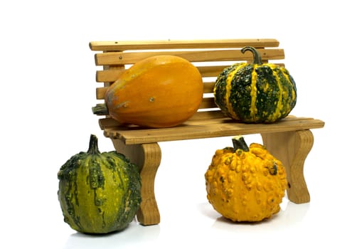 One big orange green pumpkin in closeup over white background