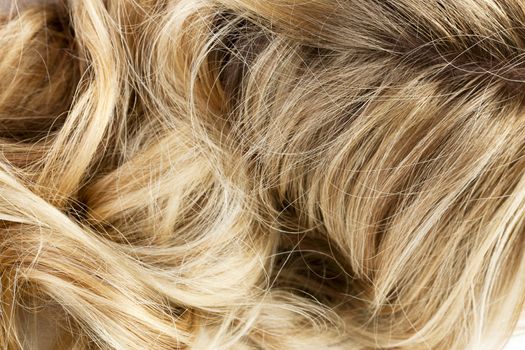 Macro image of a blond wavy hair of a woman 