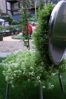 Chair Flowers