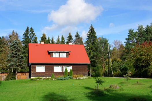 The modern house on a background of trees