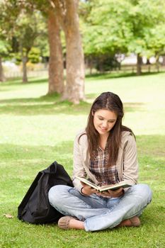 Teenager sitting while reading a textbook in a park