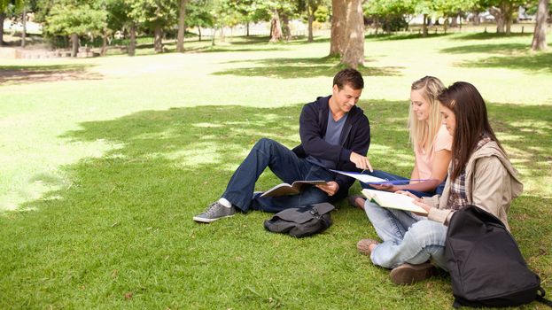 Student helping two female teenagers to revise in a park