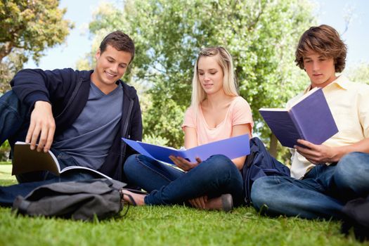 Low angle-shot of three students working in a park