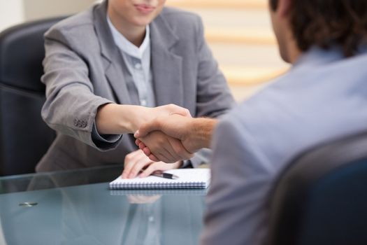 Businesspeople sitting while shaking hands in an office