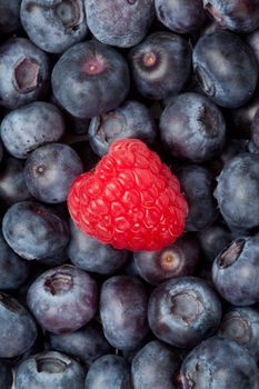 Raspberry in the middle of blueberries in a high angle view