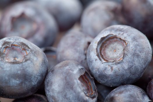Blueberries  fruit in extreme close-up