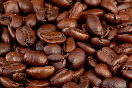 Close up of coffee seeds laid out together