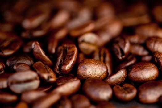 Close up of blurred coffee seeds laid out together