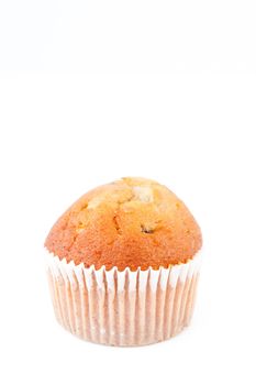 Small baked muffin against a white background