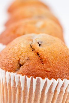 Close up on four muffins in line against a white background