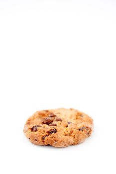 Plain cookie against a white background