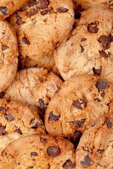 Close up of many cookies laid out together