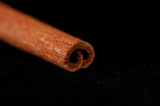 Close up of a cinnamon stick against a black background