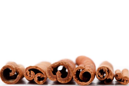 Cinnamon sticks lined up against a white background