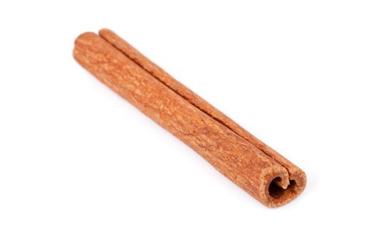 Single cinnamon stick against a white background
