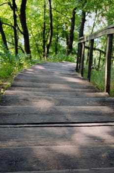 wooden staircase down in nature surrounded by grow trees and grass