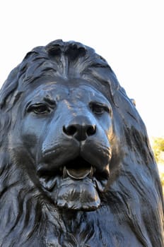 Lion head at trafalgar square