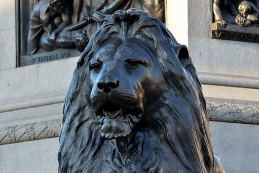 Trafalgar square lion at base of nelsons column