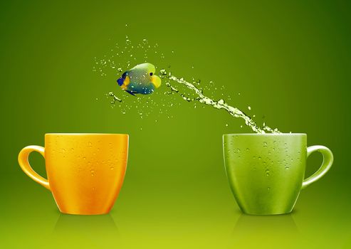 Angelfish jumping out of cup with water splashes and Acrobatic movement.