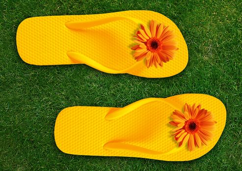 Colorful Flip Flops on green grass, summer back.