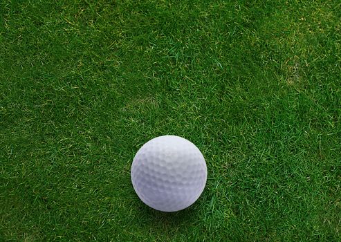 Golf ball on green grass land .