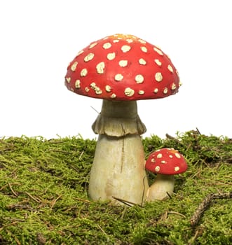 red white dot mushroom isolated on white background