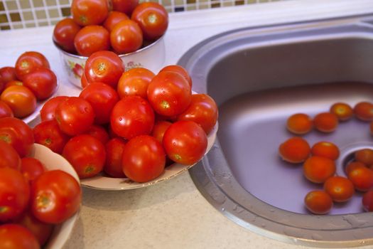 Fresh wet tomatoes on a plate prepared for pasteurization