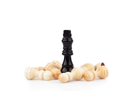 Some pieces of chess game against a white background