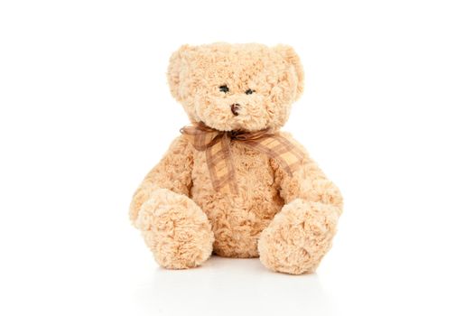 Teddy bear agaisnt a white background