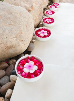 floating Plumeria flowers in a bowl of water at walkway