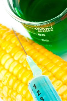 Corn next to a beaker against a white background