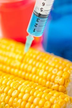 Corn with syringe against a white background