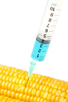 Syringe into corn against a white background