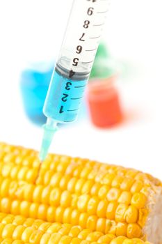 Syringe with corn against a white background