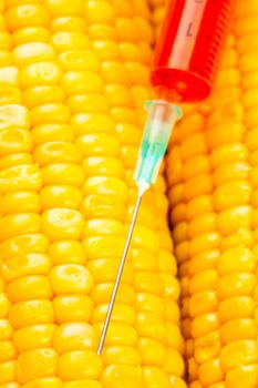 Syringe with red liquid on corn against a white background