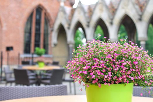 Flowers on the tables cafe in the castle Heeswijk. Netherlands