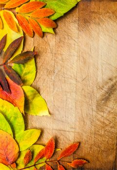 autumn leaves on a wooden surface