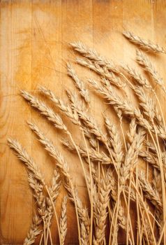 ears of wheat on a wooden surface